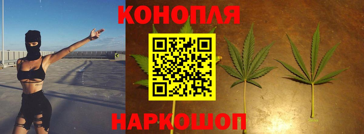 Бошки марихуана план Нижний Тагил